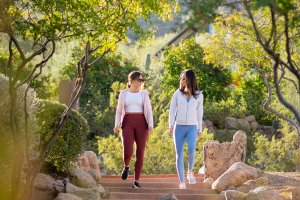 Women walking on pathway